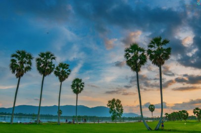 Mua rượu dừa ở đ&acirc;u ngon v&agrave; đảm bảo chất lượng tại An Giang