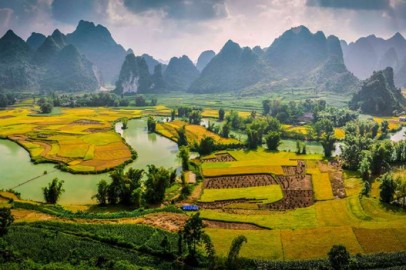 Mua rượu dừa ở đ&acirc;u ngon v&agrave; đảm bảo chất lượng tại Cao Bằng