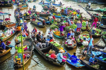 Cơ sở cung cấp rượu dừa giá sỉ tốt nhất tại Hậu Giang