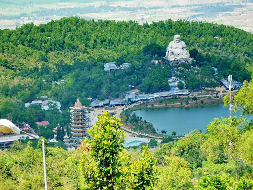 Co-so-cung-cap-ruou-dua-gia-si-tot-nhat-tai-An-Giang