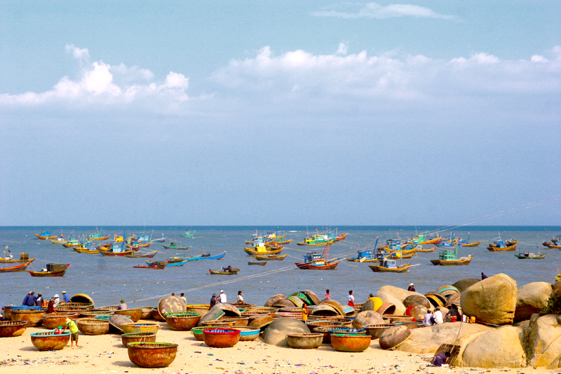Co-so-cung-cap-ruou-dua-gia-si-tot-nhat-tai-Binh-Thuan
