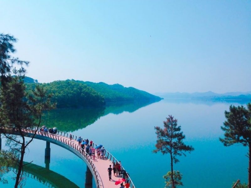Co-so-cung-cap-ruou-dua-gia-si-tot-nhat-tai-Ha-Tinh