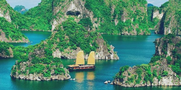 Co-so-cung-cap-ruou-dua-gia-si-tot-nhat-tai-Hai-Phong