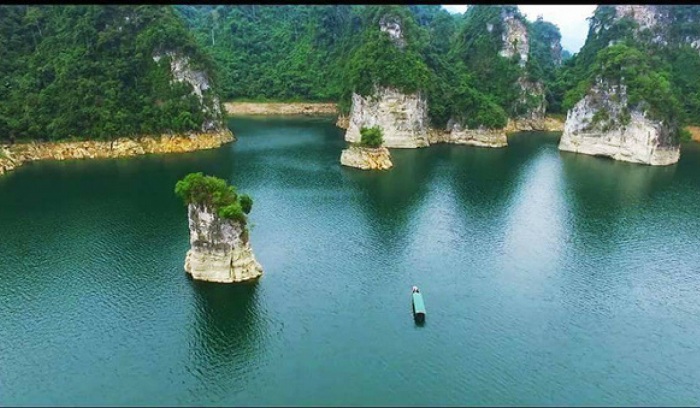 Co-so-cung-cap-ruou-dua-gia-si-tot-nhat-tai-Tuyen-Quang
