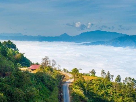 Mua-ruou-dua-o-dau-va-dam-bao-chat-luong-tai-Lai-Chau