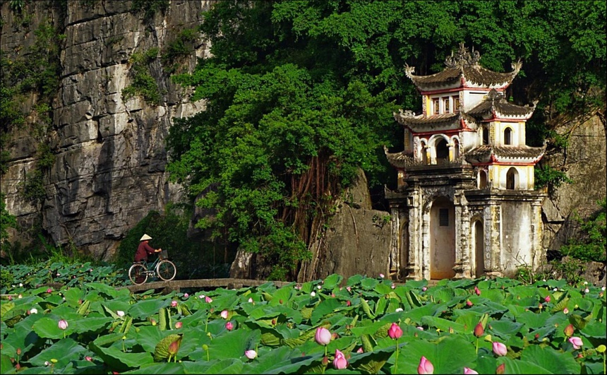 Mua-ruou-dua-o-dau-va-dam-bao-chat-luong-tai-Ninh-Binh